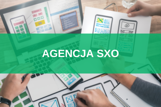 Agencja SXO – co to jest i czym się zajmuje?