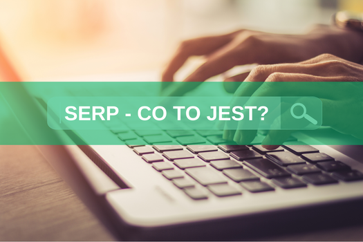 SERP - co to jest? Przewodnik 