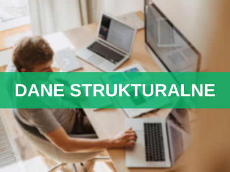 Dane strukturalne (schema.org) – jak stosować dane uporządkowane w pozycjonowaniu stron internetowych? 