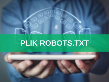 Plik robots.txt w SEO – co to jest, do czego służy i jak go stworzyć? Wprowadzenie i przewodnik krok po kroku