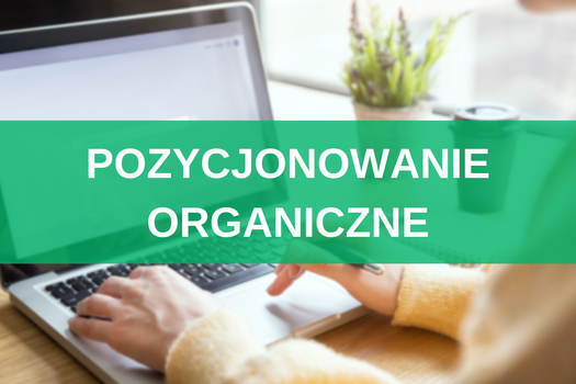 Pozycjonowanie organiczne – na czym polega SEO naturalne? 