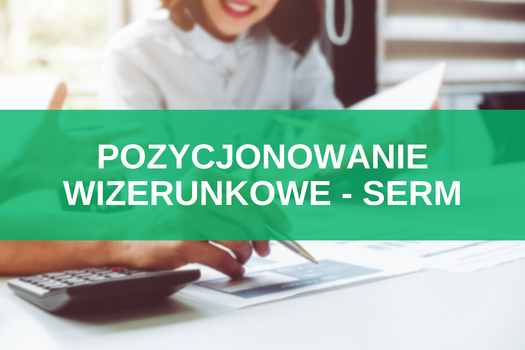 SERM – pozycjonowanie wizerunkowe i promocja w wyszukiwarce