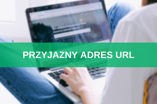 Adres URL – co to jest, jak wygląda i jak stworzyć przyjazny link?